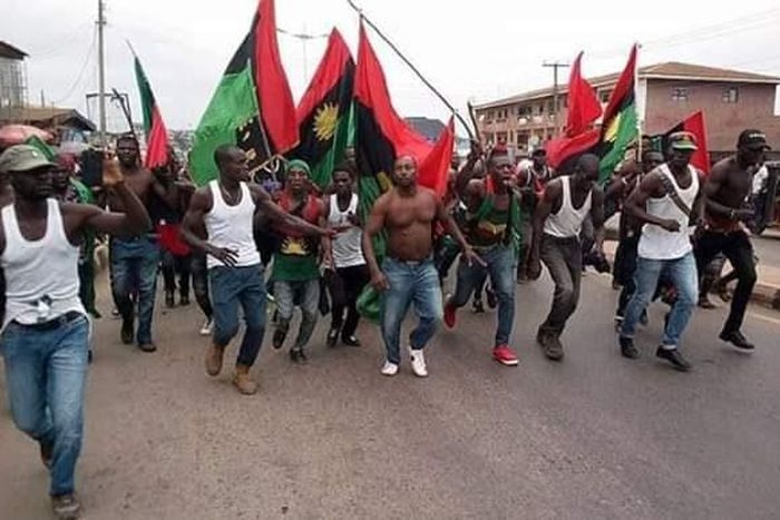 Pro-Biafran youths protesting for secession. [Punch]