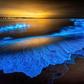 The wonders of bioluminscence [Siliconidia]