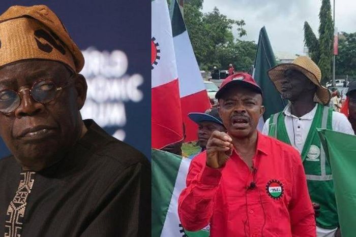 Tinubu promised us ₦250k minimum wage if we let him increase petrol price - NLC