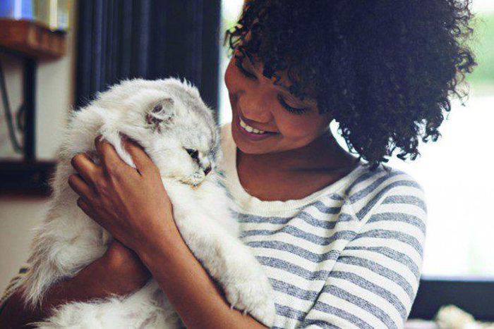 What are cats trying to tell us when they purr? [MiamiCommunity]