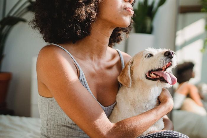 Can you catch herpes from your pets [Pexels]