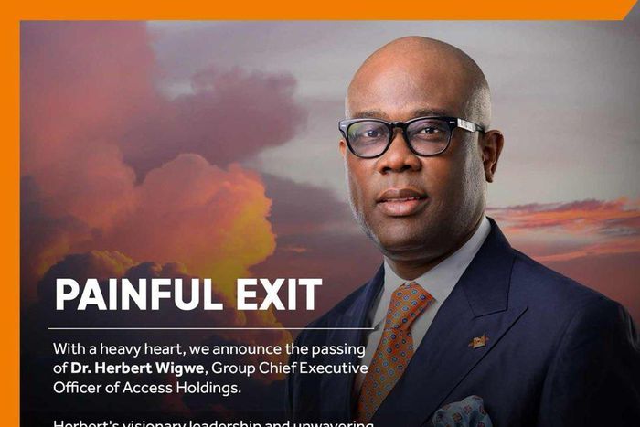 Access Holdings confirms Wigwe, wife, son’s death in US helicopter crash