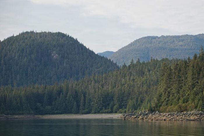 Alaska's remote and wild areas are prone to mysterious disappearances [Shutterstock/Daniel Frymark]