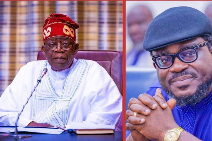 Tinubu planting better future, harvest time coming — PDP lawmaker to Nigerians