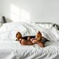 You may notice a few things happening to your body and mind after sex.Rawpixel.com/ Shutterstock