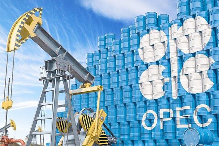 OPEC eyes Namibia for possible membership as oil production looms