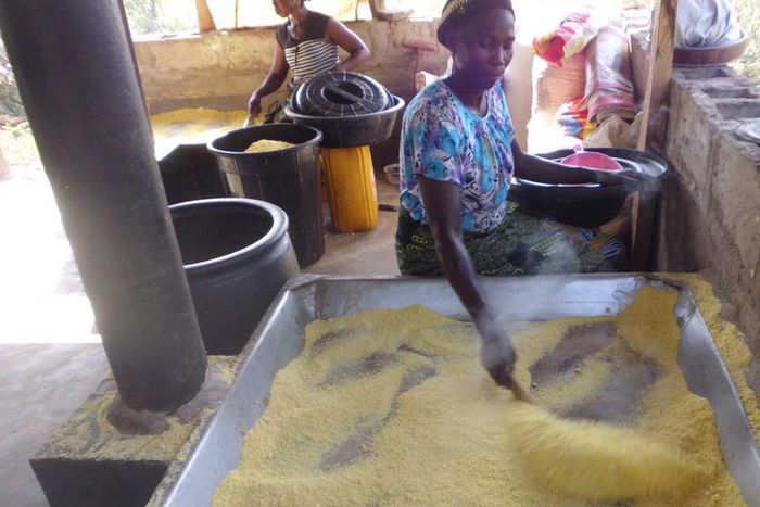 Garri processing plant [The Guardian Nigeria]