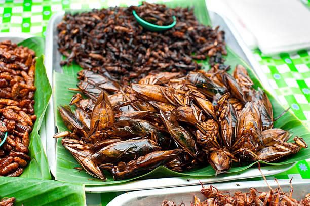 Cockroach delicacy [PrimeBusinessAfrica]