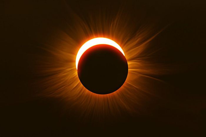 Mesopic vision kicks in the the last 4-5 minutes before a solar eclipse reaches totality, making red objects appear dark and muted while green objects stand out.Matt Anderson Photography / Getty Images