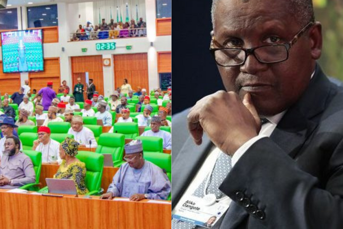 House of Reps and Aliko Dangote [Pulse.ng]