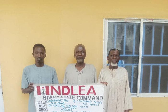 NDLEA intercepts drug concealed in commercial bus engine, arrests 2 grandpas [NDLEA:Facebook]