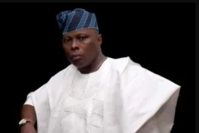 APC chieftain advocates merger of House of Reps, Senate [NAN]