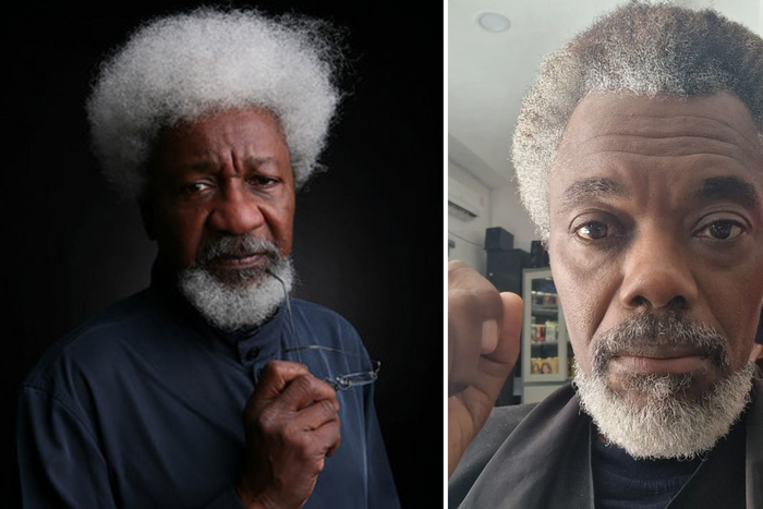 Wale Ojo will play Wole Soyinka in 'The Man Died'