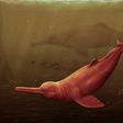The Pebanista yacuruna is one of the largest known river dolphins [Science Advances]