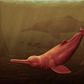 The Pebanista yacuruna is one of the largest known river dolphins [Science Advances]