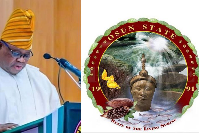 Ademola Adeleke [Facebook/X]