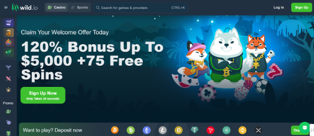 Wild.io: Best USA Online Casino With Fastest Sign-Up Process