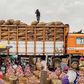 No blockage of food trucks from Niger to Southern Nigeria - Police