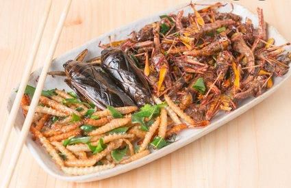 In Southeast Asia people eat live insects [Quora]
