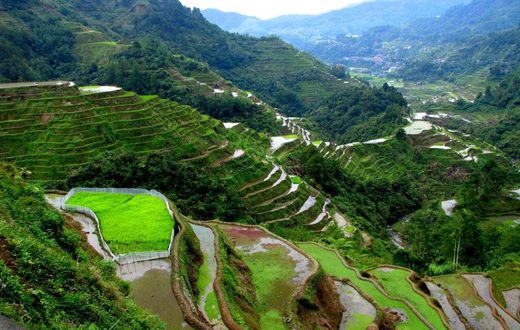 ___4817732___https:______static.pulse.com.gh___webservice___escenic___binary___4817732___2016___3___17___19___Philipines_1