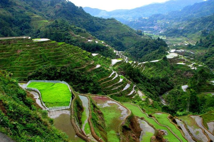 ___4817732___https:______static.pulse.com.gh___webservice___escenic___binary___4817732___2016___3___17___19___Philipines_1