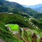 ___4817732___https:______static.pulse.com.gh___webservice___escenic___binary___4817732___2016___3___17___19___Philipines_1