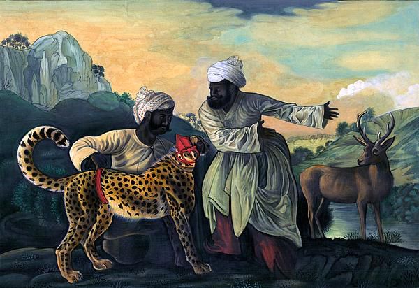 Cheetahs as hunting partners in ancient India [Pixels]