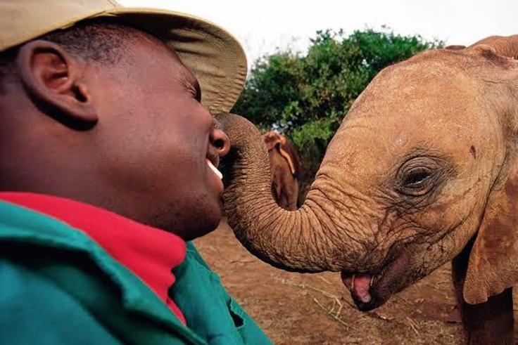 What human trait have you noticed in animals? [National Geographic]