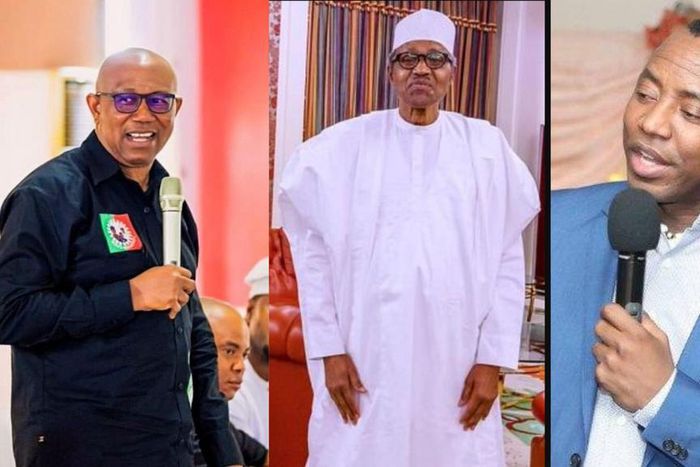 Peter Obi is a packaged fraud, just like Buhari - Sowore