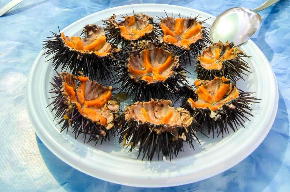 People eat sea urchins alive [Savoteur]