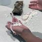 The snakes were safely removed from the airport [TSA]