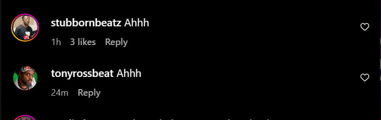 Comments from Rexxie's post [Instagram/Rexxiepondabeat]