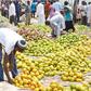 Ketu market is known for selling fruits [Punch Newspapers]