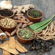 Herbs to avoid during pregnancy [SingaporePaincare]
