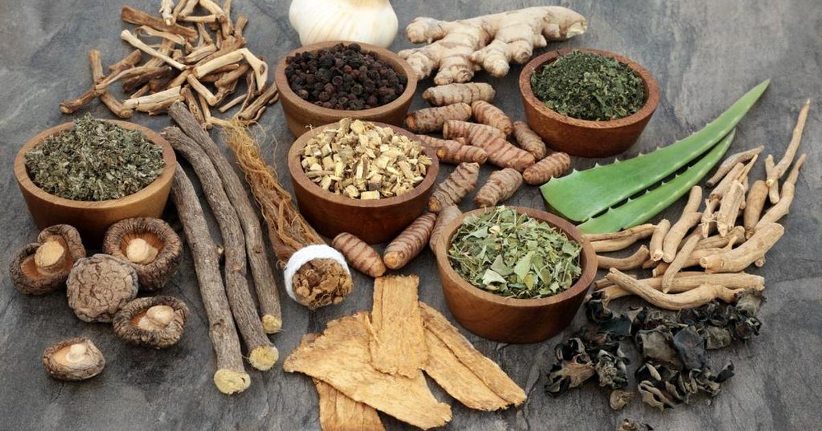 7 dangerous herbs you should avoid during pregnancy | Pulse Nigeria