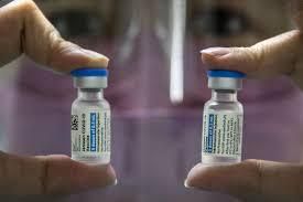 Hospitals treat snakebites primarily with antivenin [Rappler]