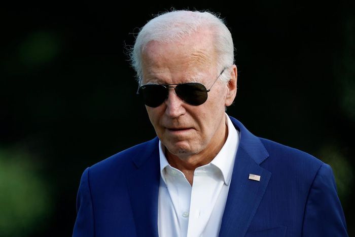 "This is all a matter of time here," former Bill Clinton adviser James Carville said of the prospect of President Joe Biden (pictured) stepping aside.Kevin Dietsch via Getty Images