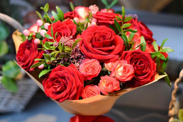 Flowers and what they represent [FloraQueen]