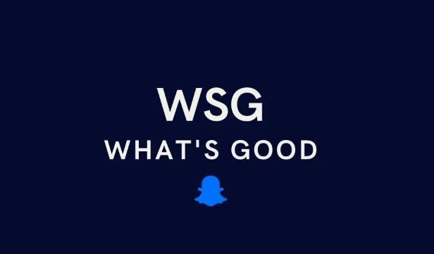 WSG meaning [Famisafe]