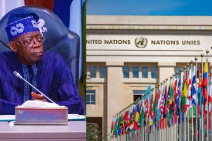 Tinubu has brought remarkable progress to Nigeria - United Nations