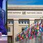 Tinubu has brought remarkable progress to Nigeria - United Nations