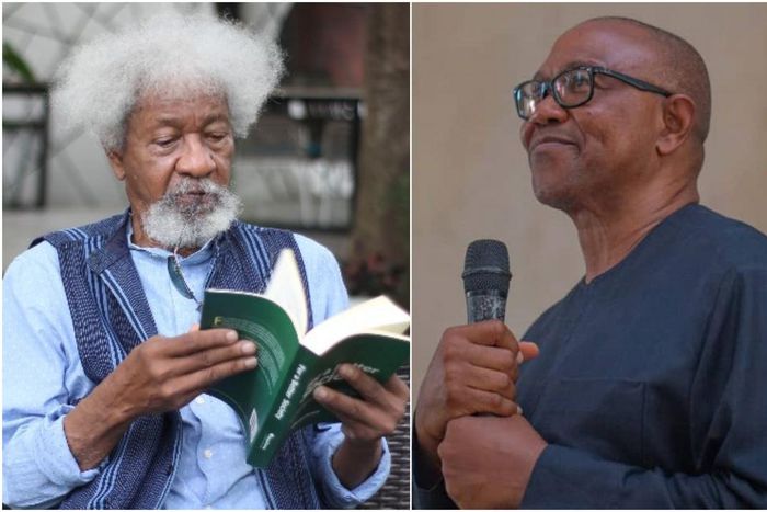 Professor Wole Soyinka and Peter Obi.