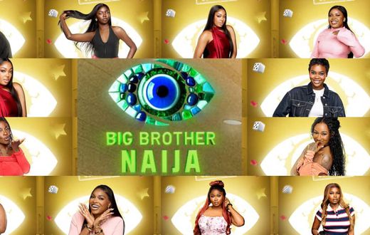 Meet BBNaija10 Housemates: Single mothers, self-confessed seductress make up 15 contestants