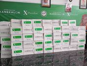 Kanekalon™ Gem Braid Adorns At The 2025 NASHCO National Hair Creativity Competition