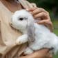Great pets that aren’t cats or dogs [AnimalWelfareLeague]