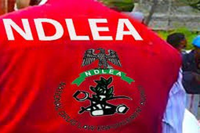 NDLEA nabs cocaine trafficker in Katsina, intercepts exhibit