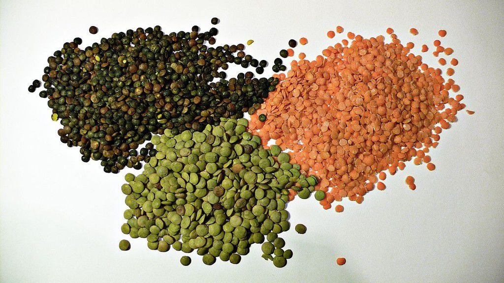 ___8527041___2018___6___21___17___lentils+Wikipedia
