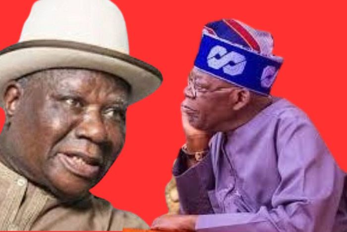 We'll not accept scrapping of Niger Delta Affairs Ministry - Clark tackles Tinubu