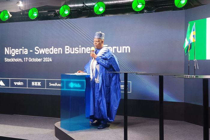 Vice-President Kashim Shettima [Presidency]