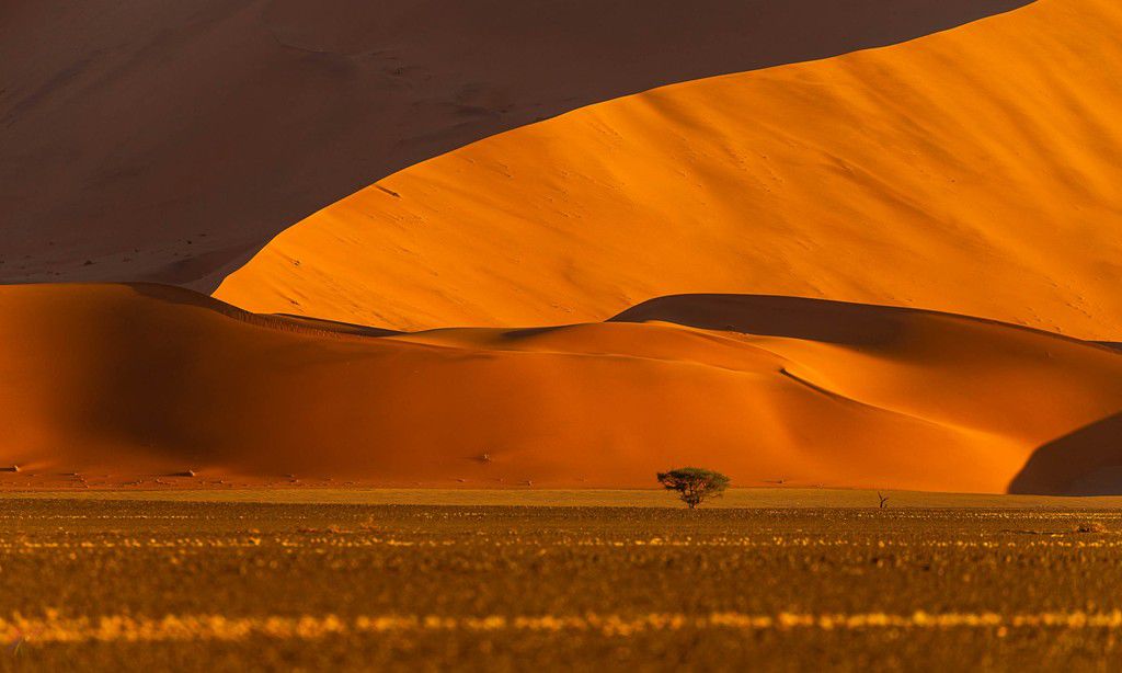 The towering sand dunes in Sossusvlei [CreativeNatureArt]